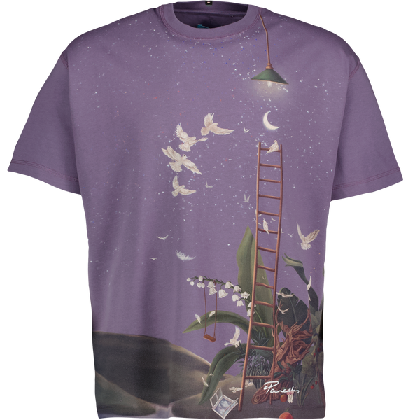 SS T-Shirt Ladder