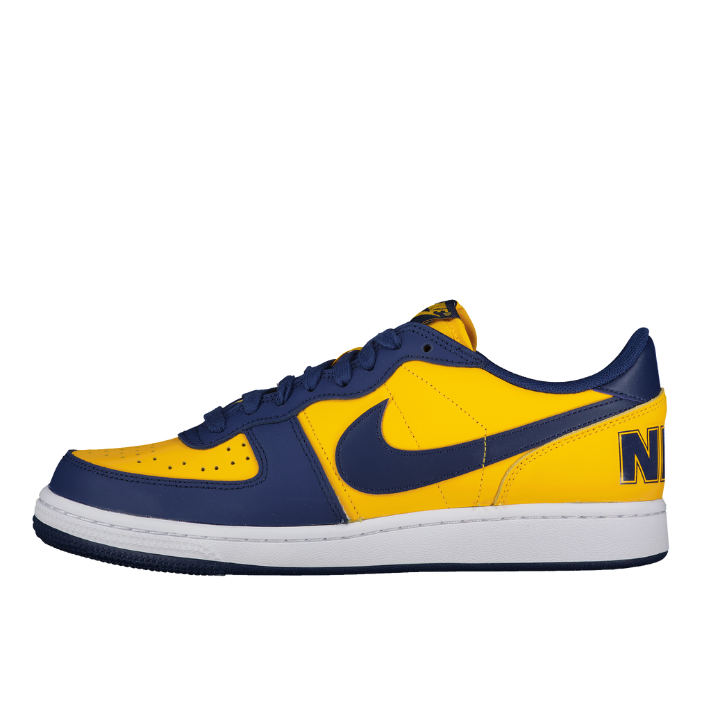 Nike Terminator Low OG 'Michigan'