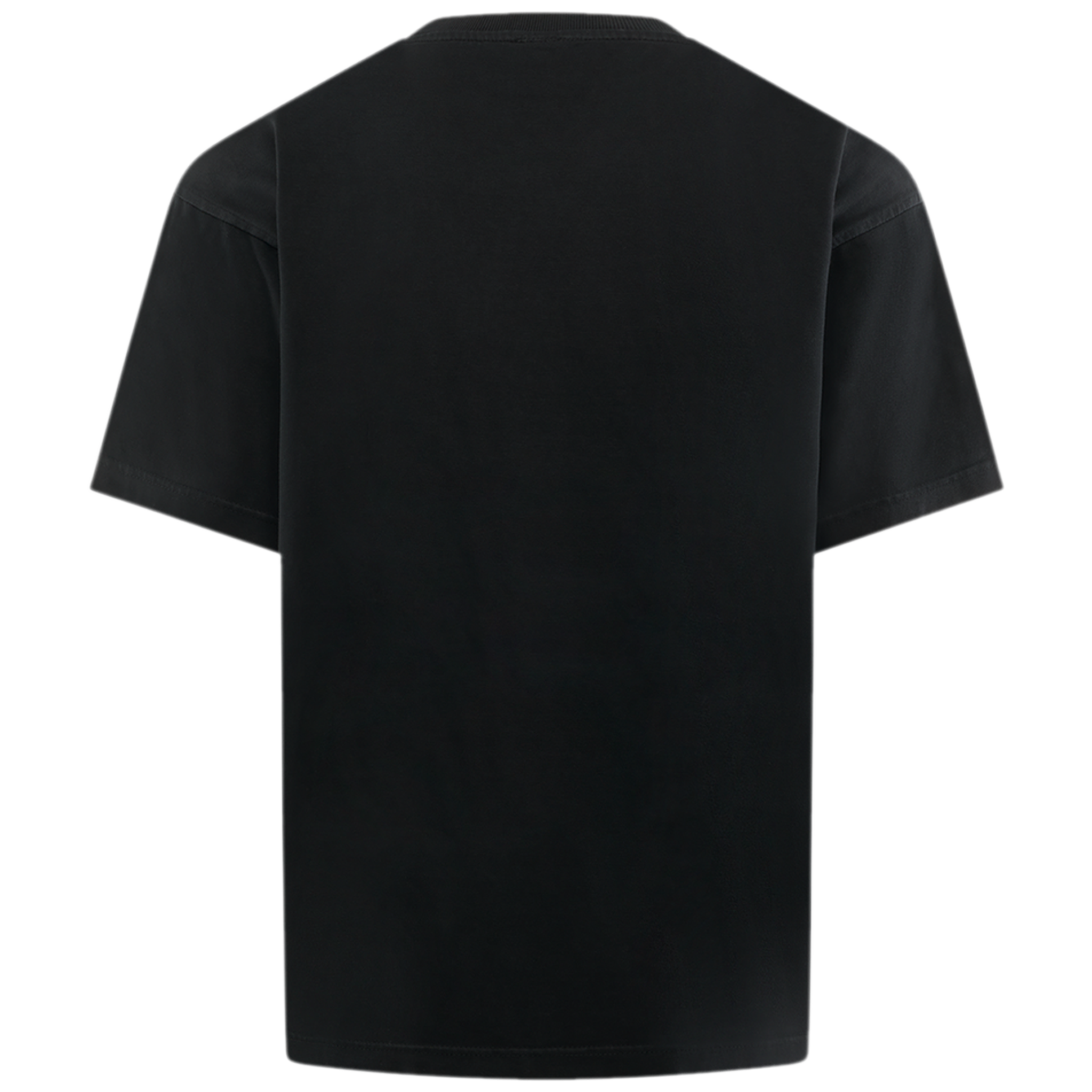 Immigrants Dream Tee