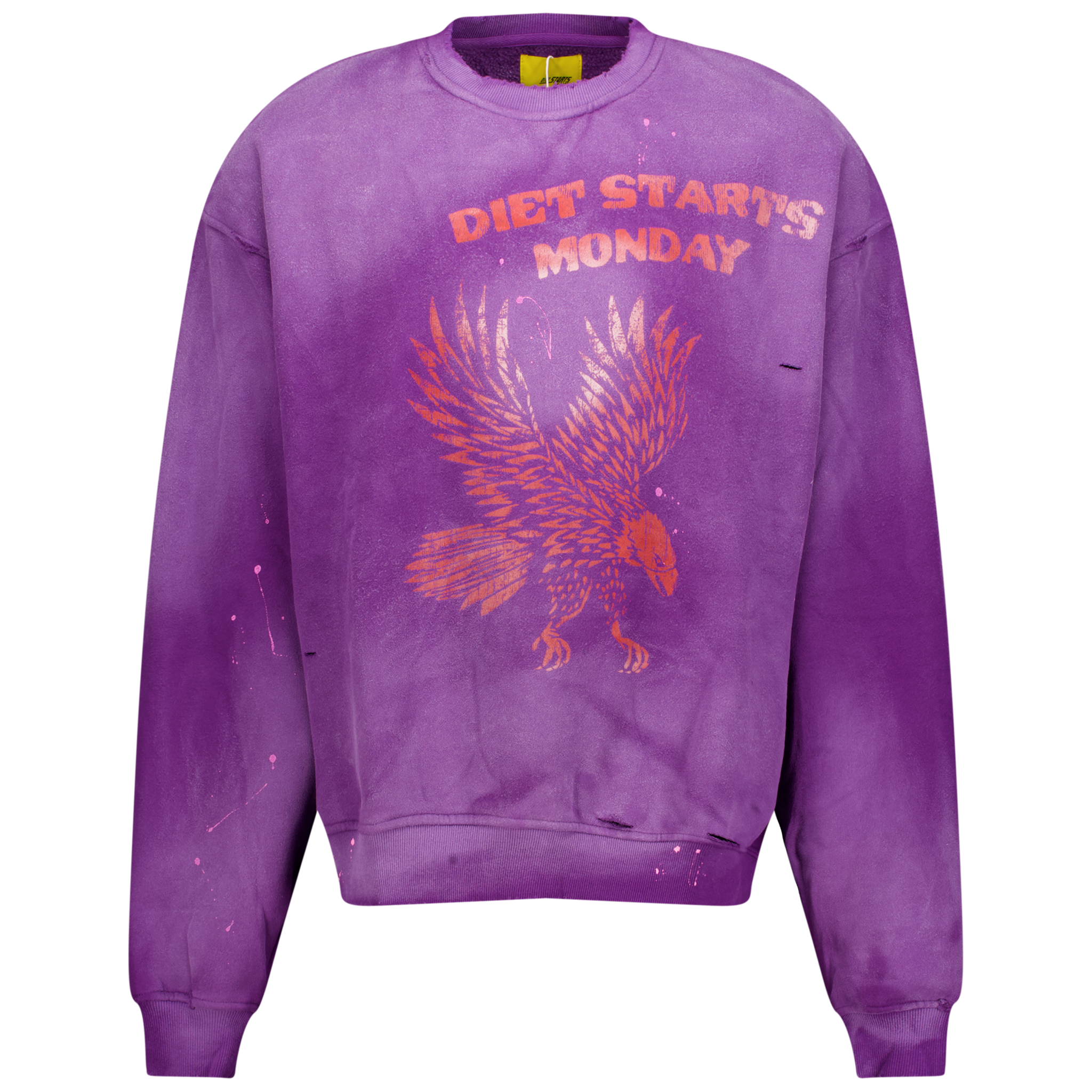 Eagle Sweatshirt