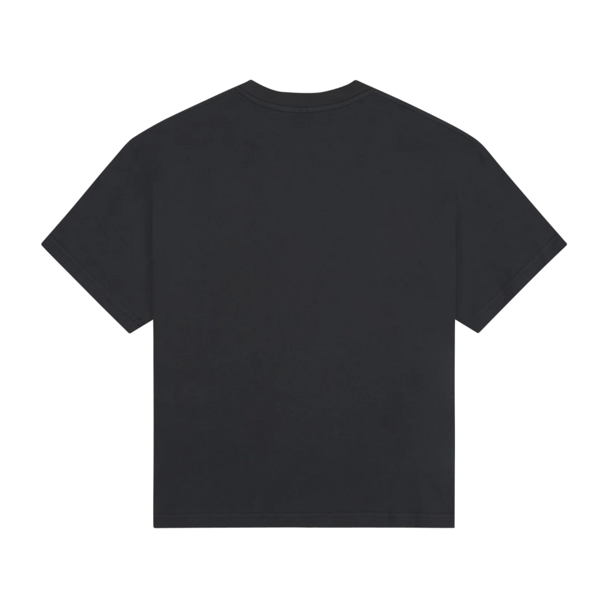 Rose From Concrete Tee