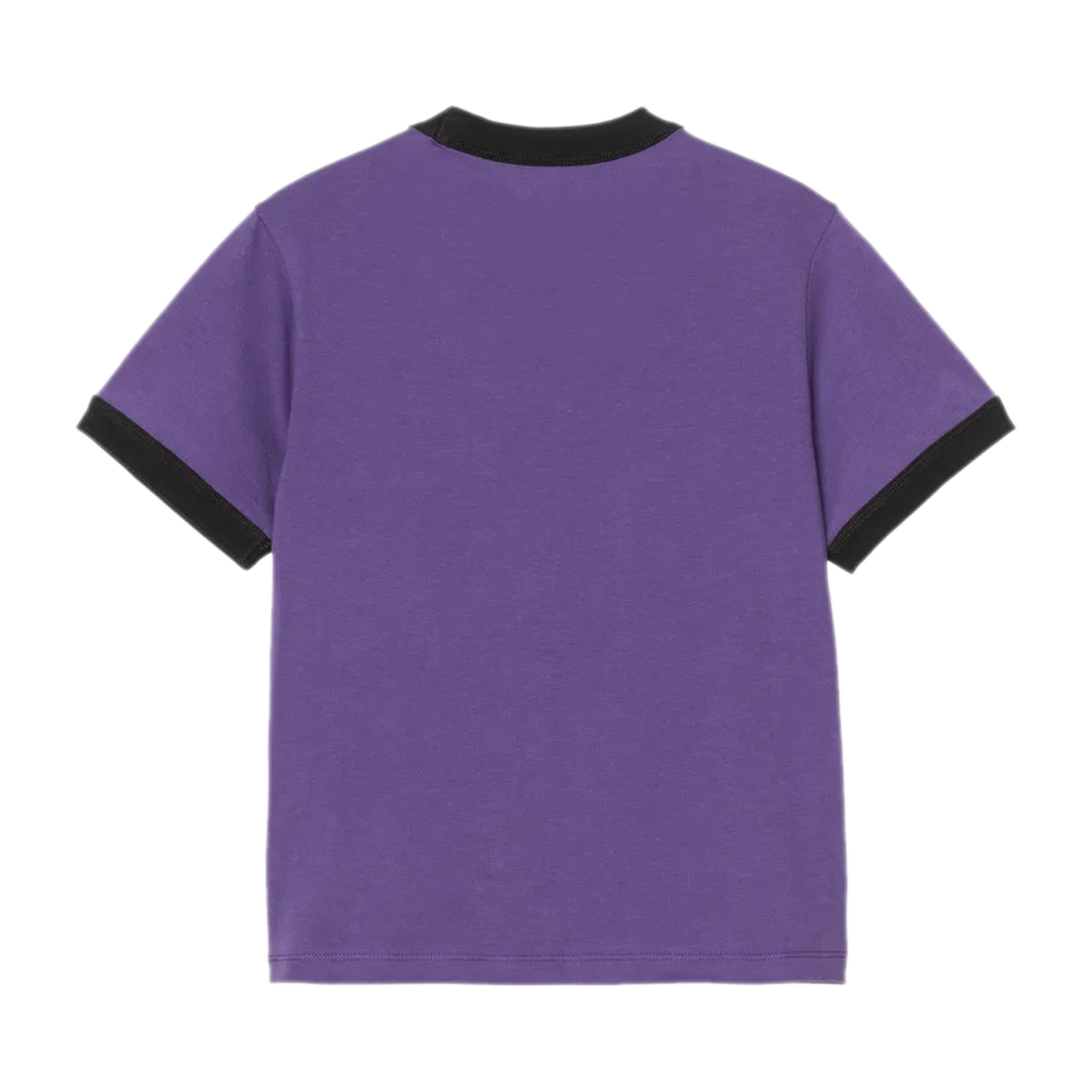 IP Ringer Tee