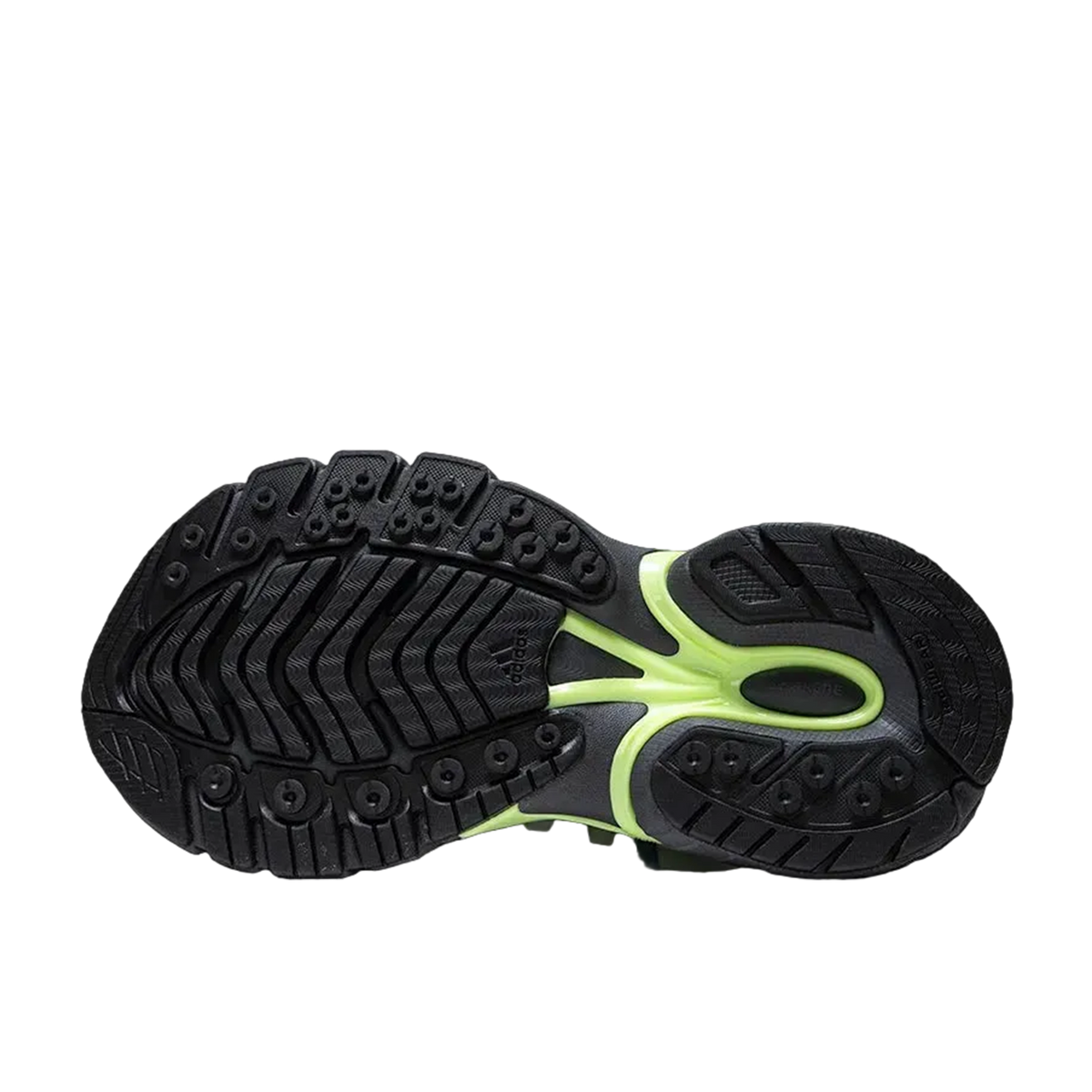 Pharrell Williams X Adidas Adistar Jellyfish