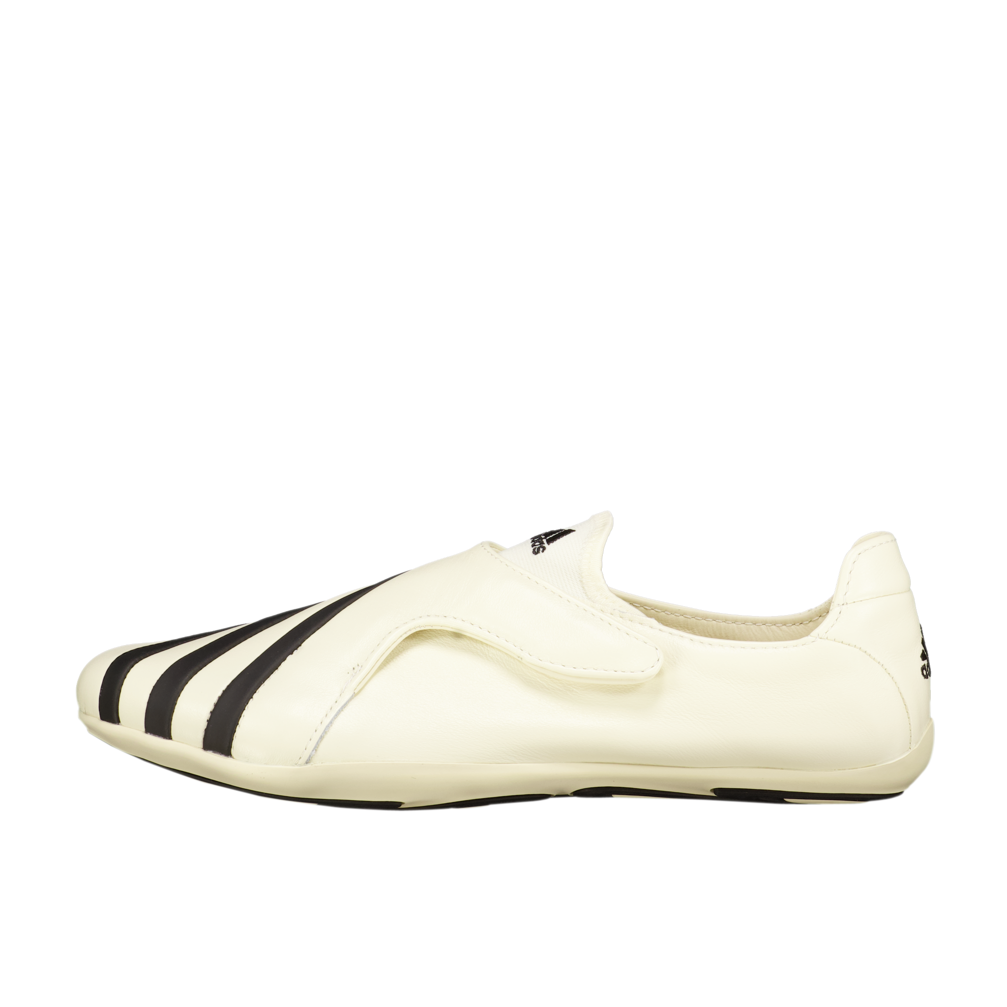 PW VARIO FLAT EARTHER