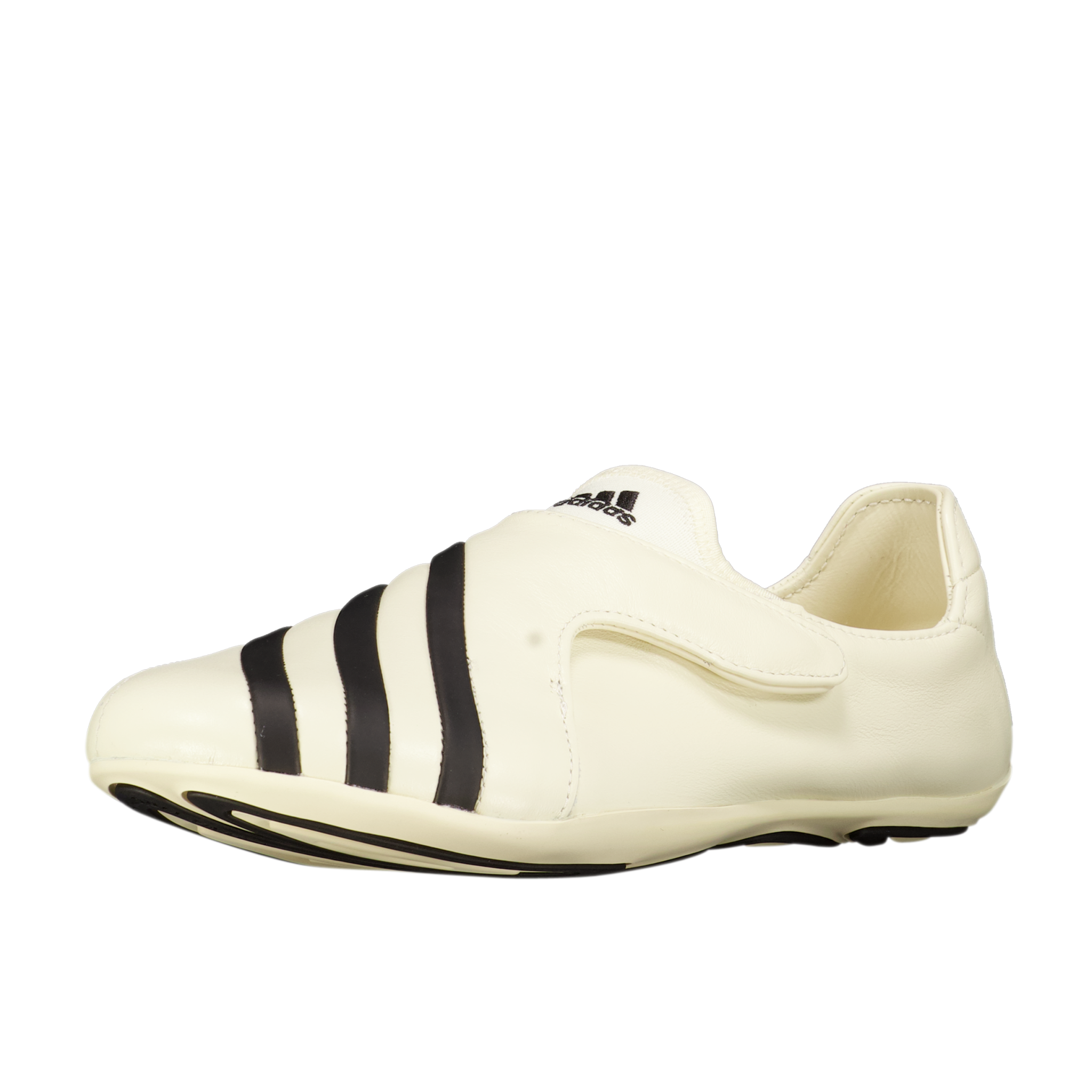 PW VARIO FLAT EARTHER