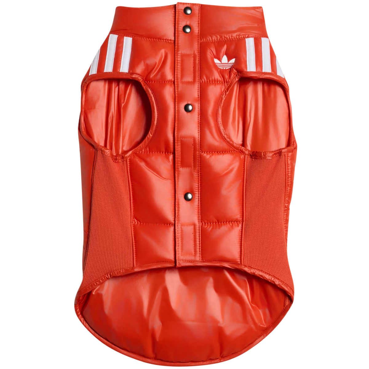 Pet Padded Vest
