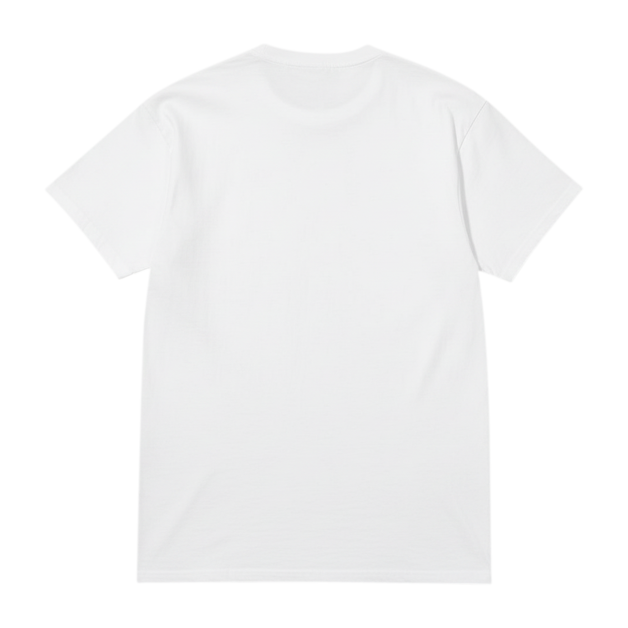 Stand for Peace Bear T-Shirt