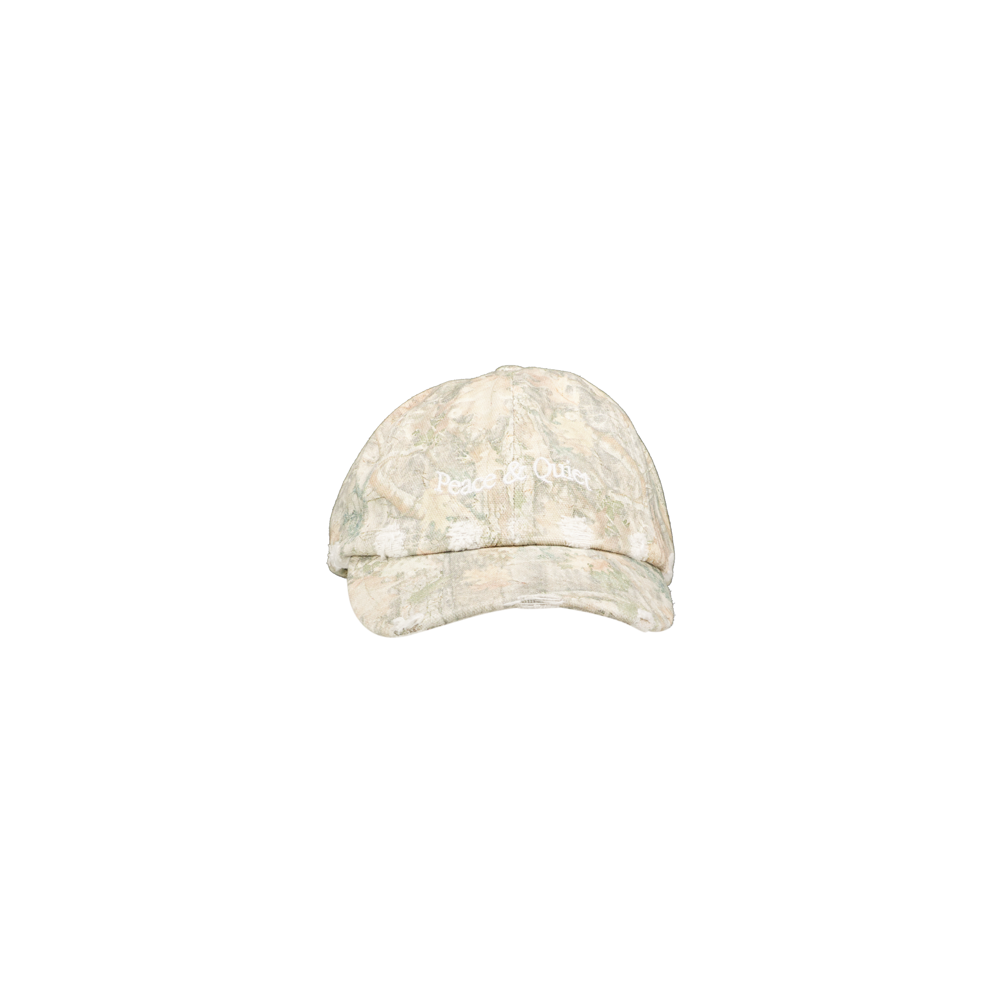University Distressed Dad Hat