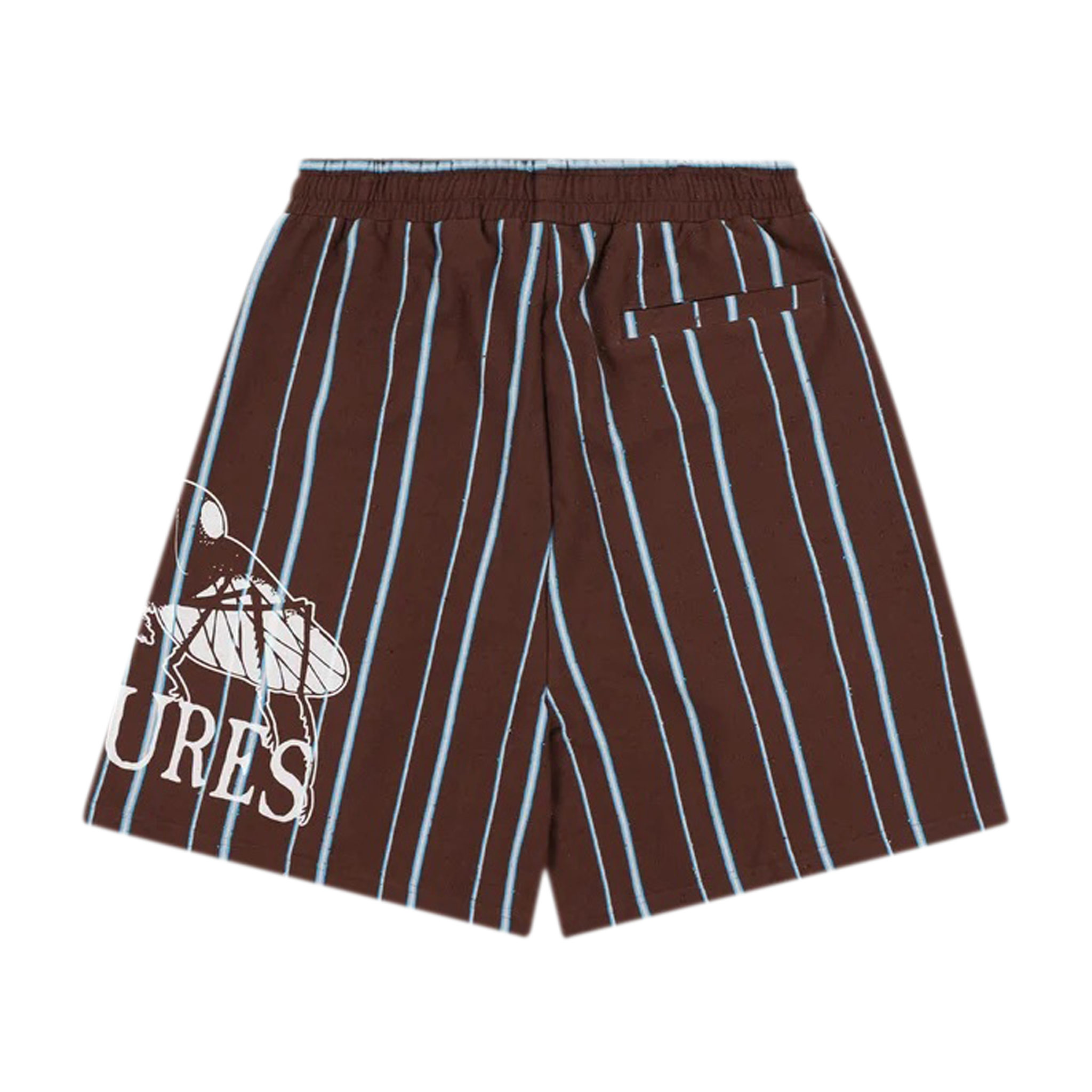 Teleport Wide Shorts